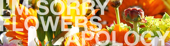 Saying I'm Sorry with Flowers Flowers