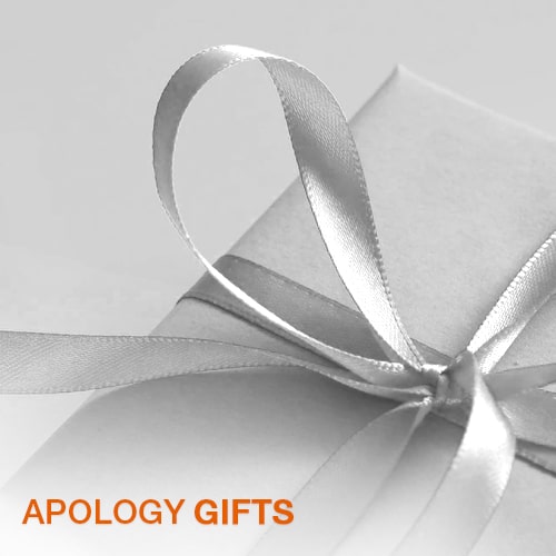 Apology Gifts A wrapped gift with ribbon