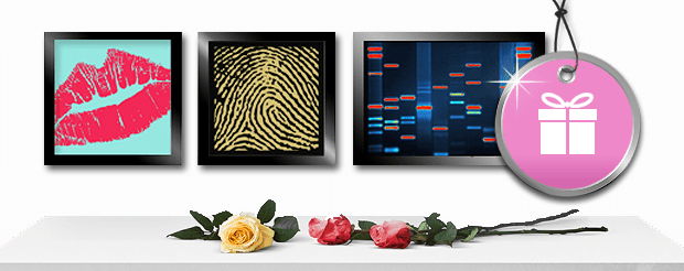 DNA Art Apology Gift Console table with three roses laying on top and three DNA paintings above