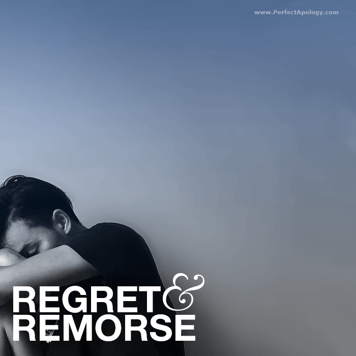 Understanding Regret, Remorse & Apologies