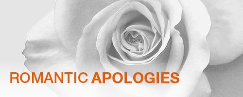 Romantic Apologies A single rose close up