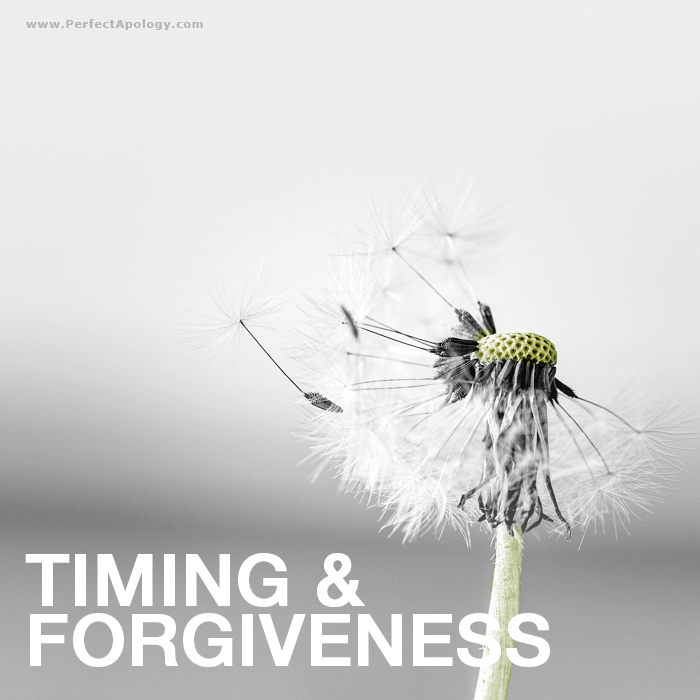 Relationships, Timing, Forgiveness Dandelion with seeds blowing in the wind