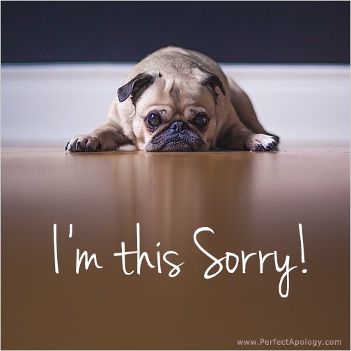 Image of a puppy looking sad saying I'm this sorry
