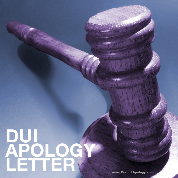 Dui Apology Letter Sample Letter For Judges
