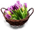 Say Sorry with Flowers