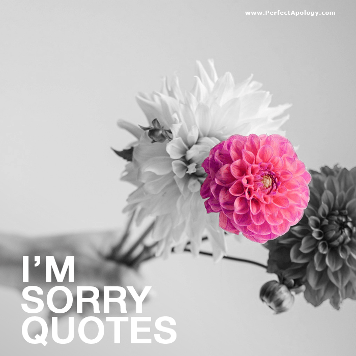 Im Sorry Quotes A sad puppy looking apologetic lying on grass